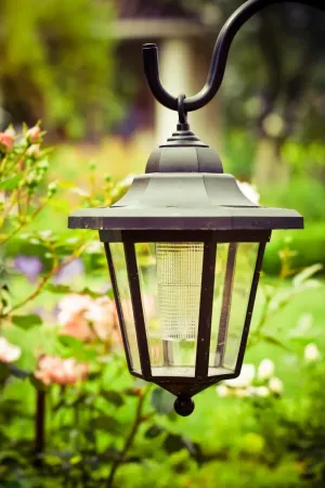 Jak efektownie oświetlić ogród